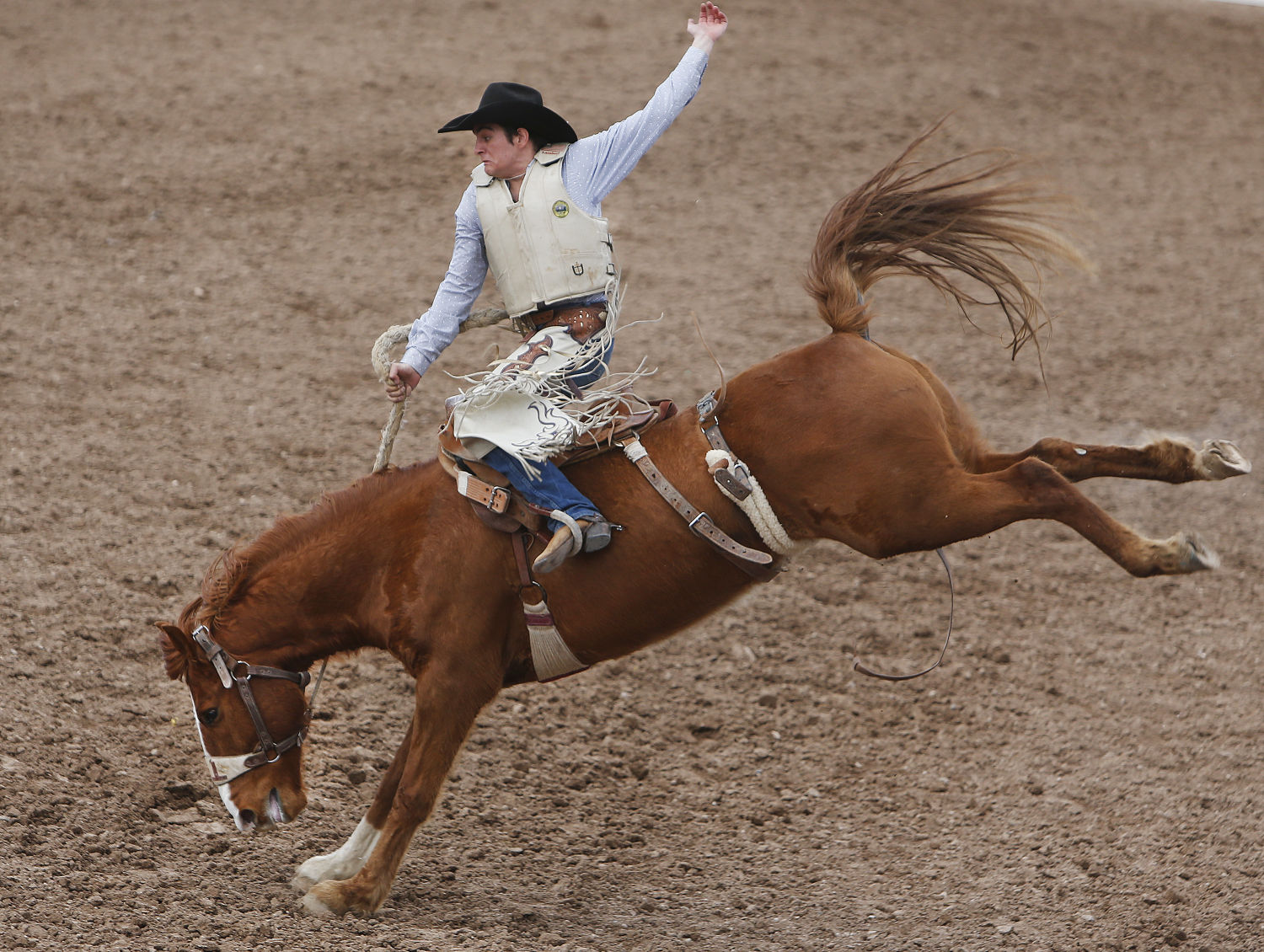 La Fiesta de los Vaqueros